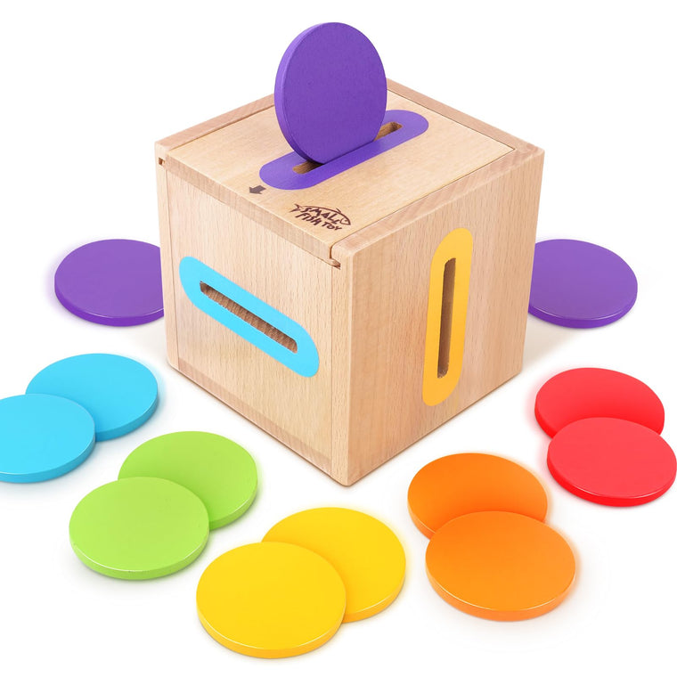Cognitive Learning Toys