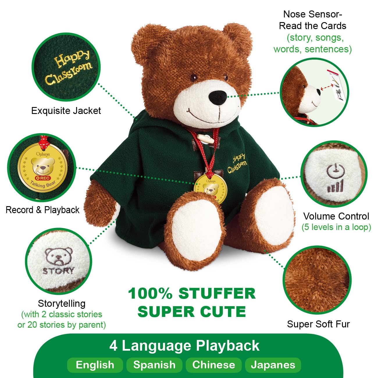 Talking Teddy Bear Plush 4 Language Word Learning Toy with Cards