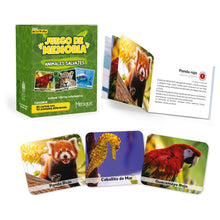 Memory Matching Game for Kids Learning and Family Play