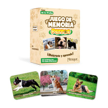 Memory Matching Game for Kids Learning and Family Play