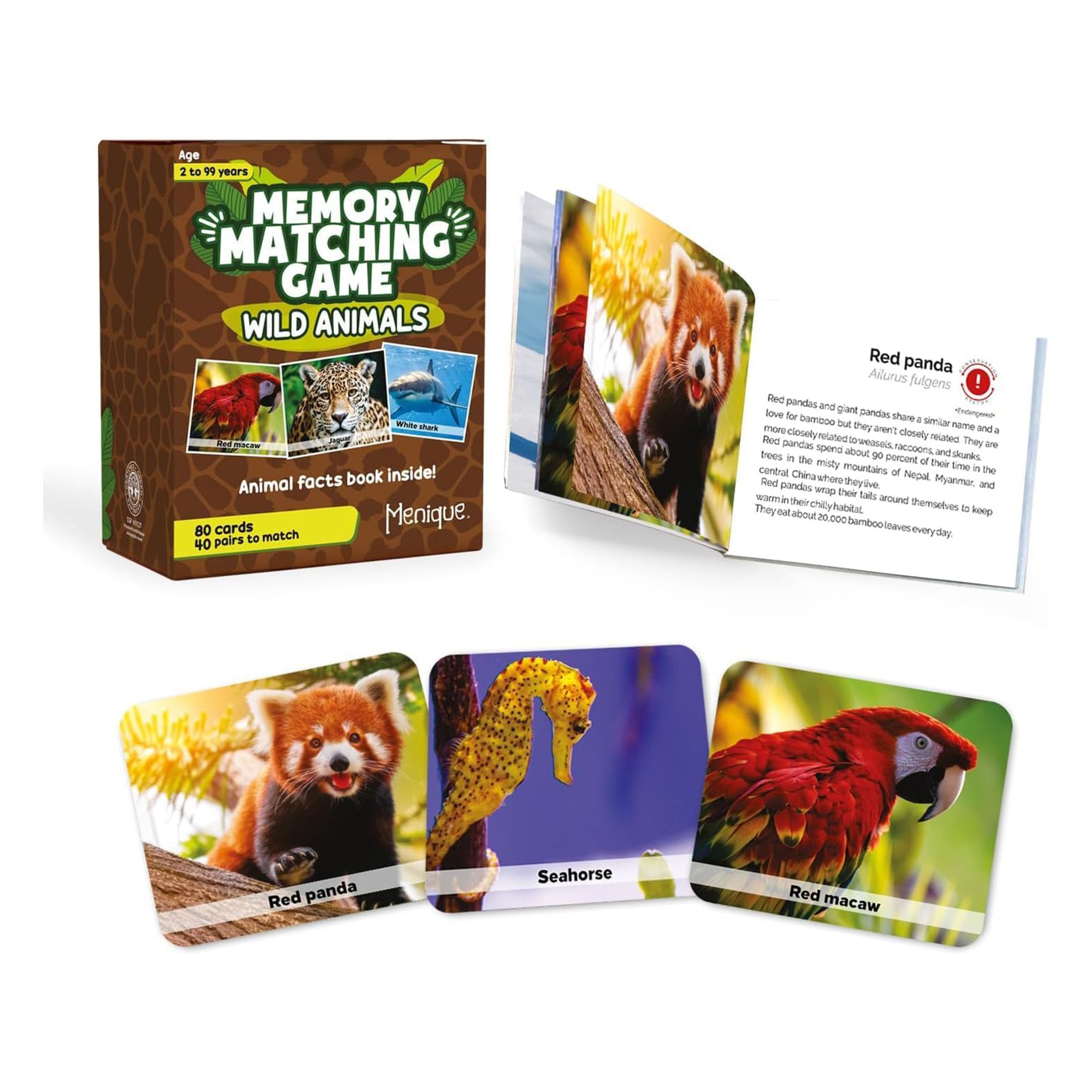 Memory Matching Game for Kids Learning and Family Play