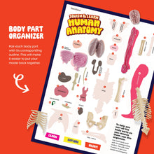 Human Anatomy Squishy Body Model with Skeleton Parts for Kids