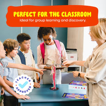 Human Anatomy Squishy Body Model with Skeleton Parts for Kids
