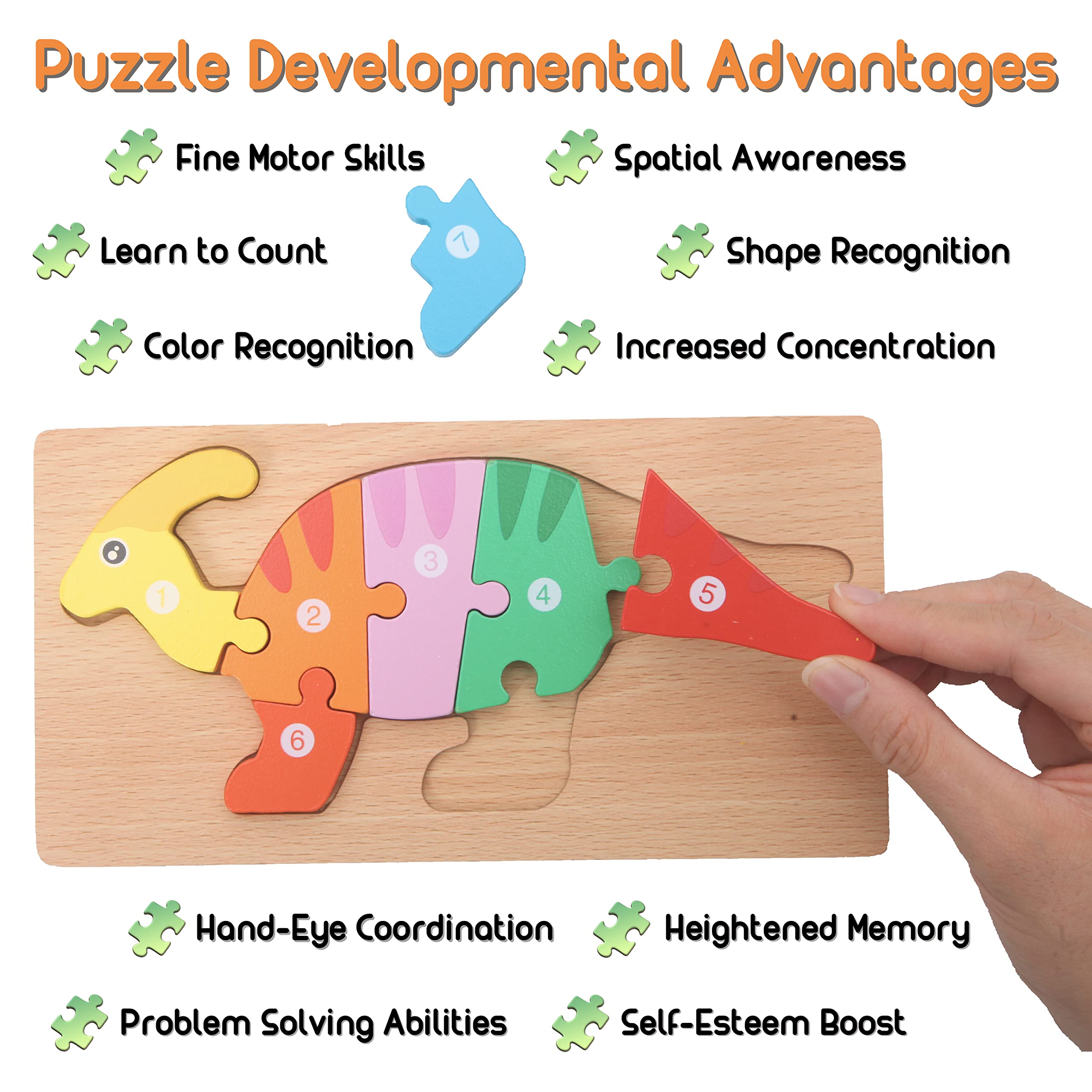 5 Pack Wooden Dinosaur Puzzles for Toddler Montessori Learning
