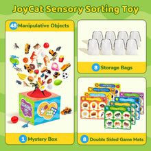 Theme Sorting Toy for Early Learning and Matching Play