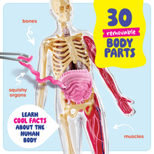 Human Anatomy Squishy Body Model with Skeleton Parts for Kids