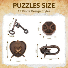 12 Piece 3D Metal Brain Teaser Puzzle Set for Teens and Adults