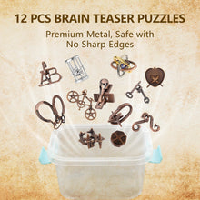 12 Piece 3D Metal Brain Teaser Puzzle Set for Teens and Adults