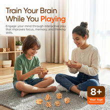Wooden 3D Brain Teaser Logic Puzzle Set for Adults Teens and Kids