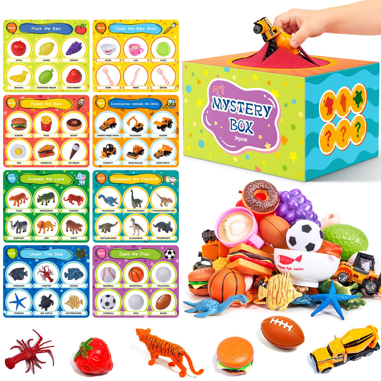 Theme Sorting Toy for Early Learning and Matching Play