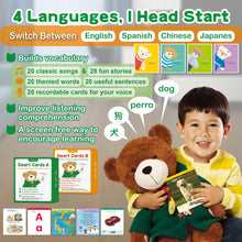 Talking Teddy Bear Plush 4 Language Word Learning Toy with Cards